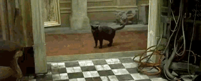 whoa-deja-vu-matrix-glitch